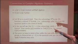 Daniel Nakano-Cohomology and Support Theory for Quantum Groups: BIRS 2016