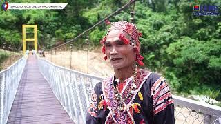 DSWD ONSE EXPRESS | HANGING FOOTBRIDGE SA SIMULA, BOSTON, DAVAO ORIENTAL, GI-TURNOVER NA SA DSWD XI