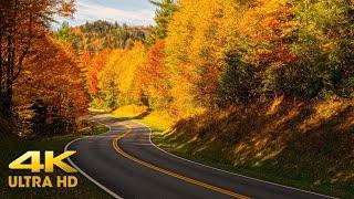 Utah Autumn Colors Mountain Scenic Driving 4K | Kolob Terrace Through Zion | Fall Relaxation