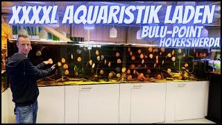 Spontane Aquarium Laden Tour bei Bulu-Point in Hoyerswerda