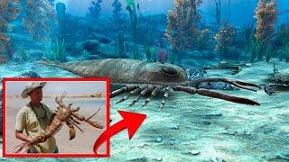  MEET PENTECOPTERUS, A SEA SCORPION OR ANOTHER SEA BEAST?