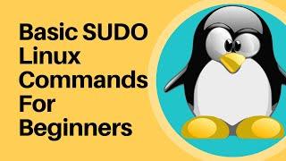 SUDO: Introduction to Linux and Basic Linux Commands for Beginners