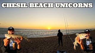 COD FISHING ON CHESIL BEACH | HITTING THE JACKPOT ON THE BEACH OF BROKEN DREAMS | SEA FISHING UK