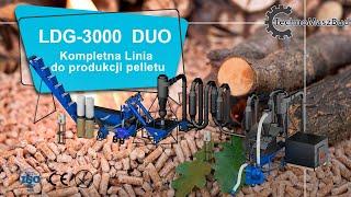 Kompletna linia do pelletu LDG-3000 DUO | Produkcja z trocin dębowych