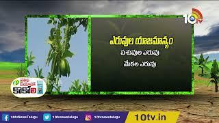 అంతరపంటలతో అదరగొడుతున్న రైతు: Success Story off Farmer Ramesh | Matti Manishi | 10TV News