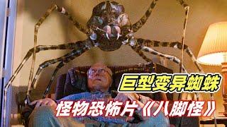 Horror movie 【Eight Legged Freaks]】Old man watched TV at home, a 2-meter spider appeared on his head