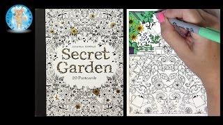 Secret Garden by Johanna Basford Adult Coloring Book Postcards - Family Toy Report