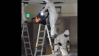 Commercial job - Rodent clean up in drop ceiling - Elk Grove Pest Control