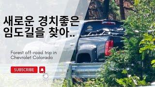 새로운 경치좋은 임도길을 찾아 쉐보레 콜로라도 숲속 오프로드 여행