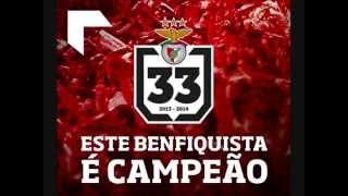 Benfica Campeão Nacional 2013 2014