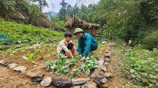 Thang was uncle by a kind policeman to help improve wasteland and grow vegetables| Poor Highland Boy