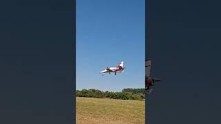 e-flite Viper edf landing