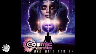 Cosmic Vibration - Who Will You Be