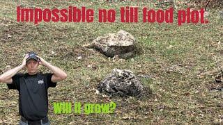 Impossible no till food plots.