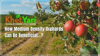 कैसे Medium Density Orchards फायदेमंद हो सकता है |