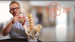 Why R3 Stem Cell Offers the Best Back Pain Treatment (844) GET-STEM