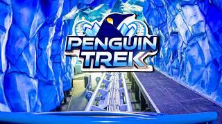 NEW Penguin Trek FULL Ride POV FRONT ROW [4K] Sea World Orlando