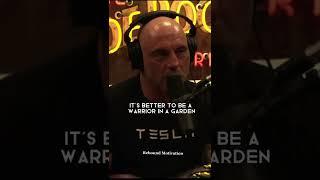 Joe Rogan Shares Best Wisdom Of Jordan Peterson