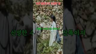 귀궁 골담초의 신령한 힘 #귀궁  #귀궁13화예상 #귀궁14화예상 #강철이 #여리 #골담초 #팔척귀 #팔척귀천도 #용담골 #경귀석