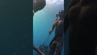 The Beauty of Diving for Tahitian Pearls