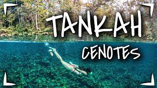 TANKAH TOUR Cenotes  4 Cenotes cerca de TULUM ► Hicimos el tour desde PLAYA DEL CARMEN  CANCUN