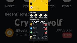 crypto wolf scam company