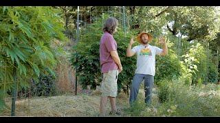 Casey O'Neill: Terroir & Cannabis / Ganjier