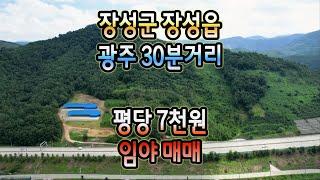 전남토지매매 #1387 장성군 장성읍  평당 7천원 임업후계자 등록 가능한 묫자리 & 약초 재배지 추천 임야