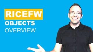 Introduction to RICEFW / RICEF objects for SAP Beginners