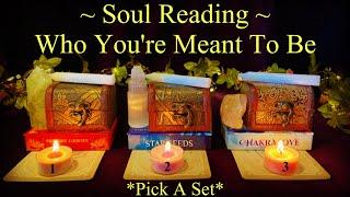 Who You Are Meant To Be Soul Reading ~ Pick A Set