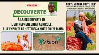 Ô'Découverte: Mme Ndeye Sokhna GUEYE, Exploite 50 Hectares à Notto Gouye DIAMA ''Maraîchage"