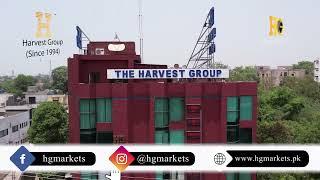 Testimonial | Harvest Group | H.G Markets | Mas Productions