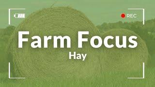 Farm Focus: Hay