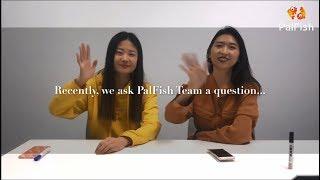 Quick Interview for PalFish Team | What is the Most Impressive Thing about Working for PalFish?