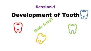 Development of Tooth | Odontogenesis Session 1