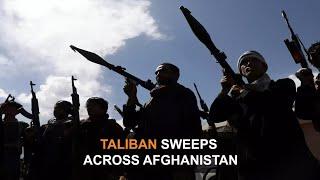 US policies contributed to the resurgence of Taliban in Afghanistan