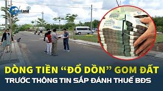 Lượng lớn dòng tiền đang “ĐỔ DỒN” để gom đất trước thông tin sắp đánh thuế bất động sản | CafeLand