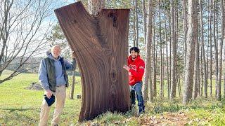 His Great Grandfather Planted this Walnut Tree and it was going to be Bulldozed