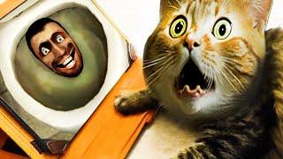 Cat reaction to Happy Cat vs Skibidi Toilet Speed version & More storry Among Us Cat 1 hour.