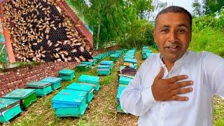 How To Start Honey Farming in Pakistan | 3 Box Khareed Liye  | Village Food Secrets | Mubashir