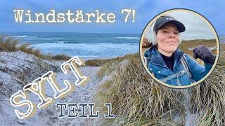 SYLT bei Windstärke 7!  Die Challenge: 11km sportwandern!  TEIL 1 / Januar 2025