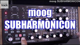 moog SUBHARMONICON Demo & Review