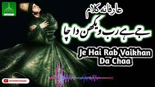 Je Ha Rab Vekhan Da Chaa | Beautiful Sufi Kalam | Akhiyaan ch tu wasdaa | Teri deed da chaa |