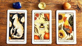 WHAT TO EXPECT IN THE REST OF 2024? | Pick a Card Tarot Reading