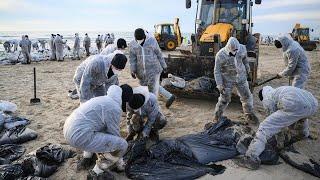 Russland: Ölkatastrophe nach Tankerunfällen im Schwarzen Meer