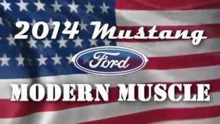 2014 Mustang- Marketing Class