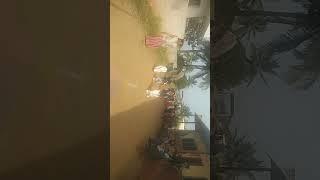 Gonichila aataa#shorts_video #zoyarani#game #zoyaRani-w2m