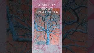 DailyBloom#shorts #dailybloom #plant #tree #future #thoughts #today #generations #dogood #selfless