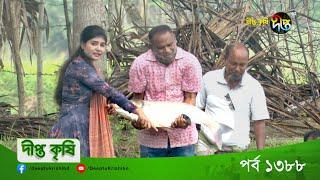 DEEPTO KRISHI | শখ থেকে মিশ্র মাছের চাষ শুরু করে কোটি টাকা আয় | EP 1388 | DeeptoTV