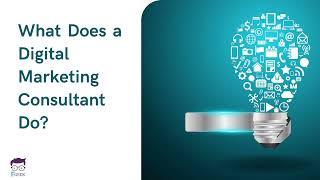 What does a Digital Marketing Consultant do?